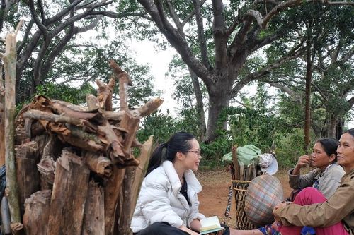 Làng Jrai dưới bóng đa