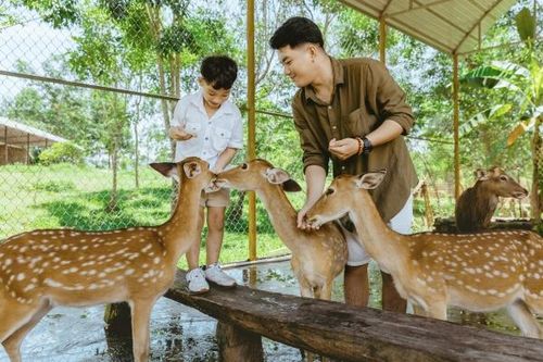 Du xuân khám phá Yang Bay