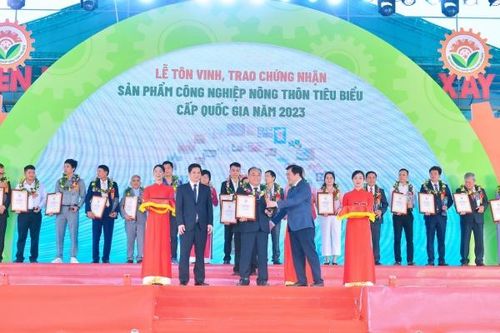 DT Group khẳng định thương hiệu ở thị trường quốc tế