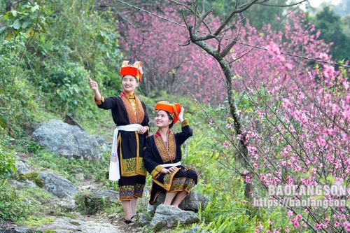 Sức sống mới ở Công Sơn