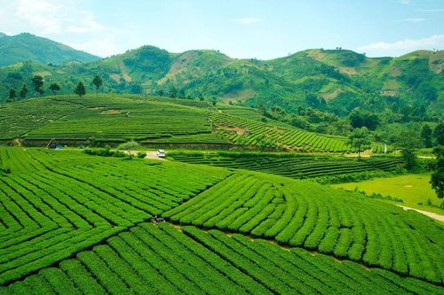 Ngày mới trên thung lũng Ải Nam