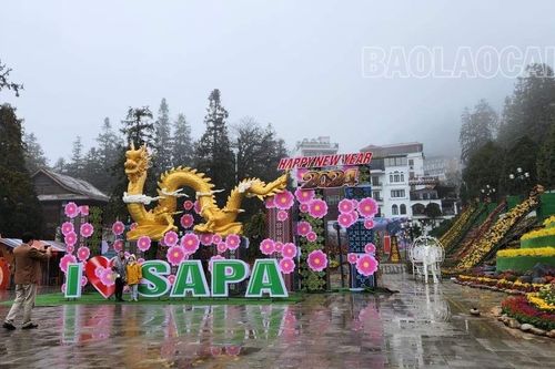 Năm Thìn tản mạn chuyện rồng