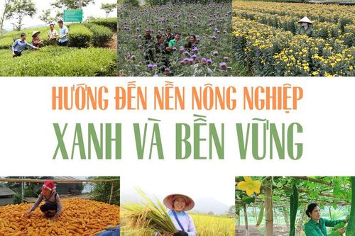 Hướng đến nền nông nghiệp xanh và bền vững