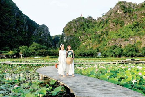 Hương sen đất Cố đô