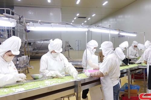Bức tranh vùng kinh tế động lực
