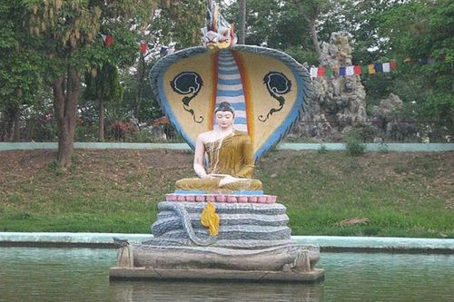 Năm Thìn kể chuyện rồng