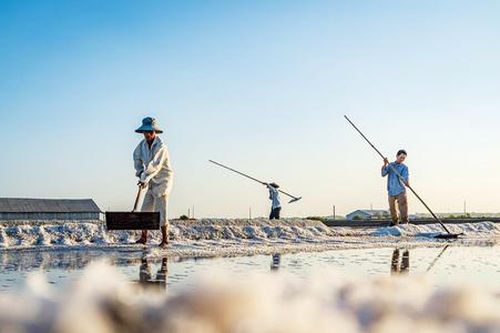 Tết về Long Điền mua muối lấy may