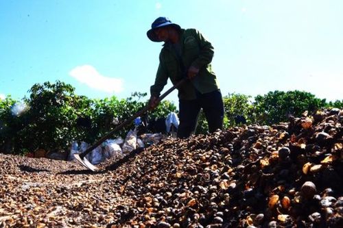 Tết này hơn hẳn những Tết qua!..
