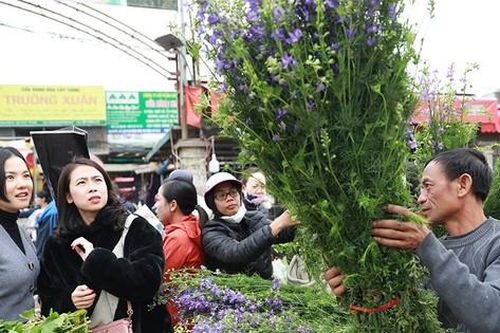 Tết cổ truyền Việt Nam: Đoàn tụ, đoàn kết trong một thế giới ngày càng kết nối chặt chẽ