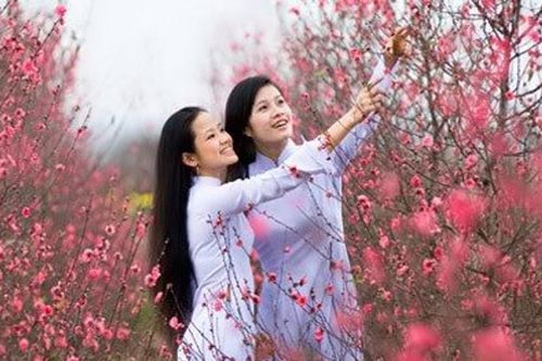 Trong hương hoa ân tình