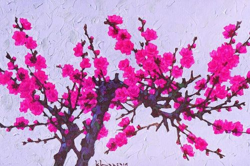 Đắm đuối với hoa đào
