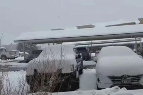 Mỹ: Bão 'sông khí quyển' gây đợt tuyết dày ở New Mexico