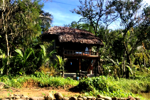 Mênh mang hương vị Tết trong homestay của đồng bào Tà Ôi