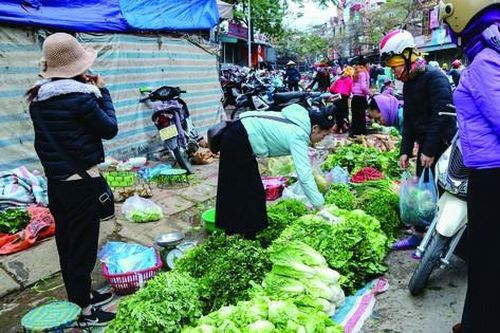 Đời thường rau cỏ