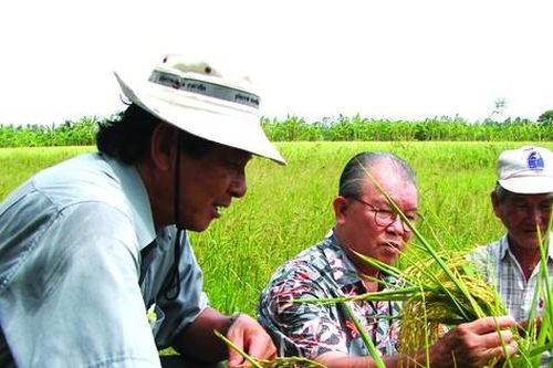 Trăn trở và phụng sự nhân dân
