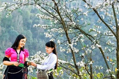 Lễ hội Hoa Ban 2024: Góp phần quảng bá du lịch Điện Biên