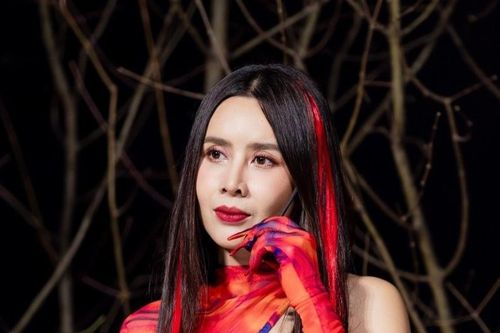 Mỹ Linh hát về tình mẫu tử, Lưu Hương Giang nhảy bốc lửa đến khó tin