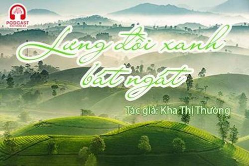 Tản văn hay: Lưng đồi xanh bát ngát