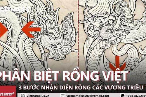 Phân biệt rồng các vương triều Việt bằng 3 bước nhanh, đơn giản