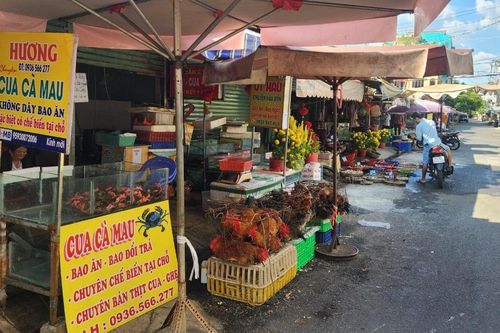 TP Hồ Chí Minh: Chợ, siêu thị vắng khách trong ngày mùng 3 Tết