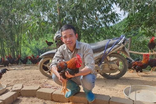 Anh nông dân nuôi con vật xưa chỉ 'tiến vua' nhẹ nhàng đút túi 200 triệu đồng