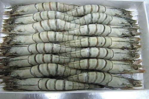 Đi chợ gặp 6 loại tôm này, giá rẻ đến mấy cũng không nên mua