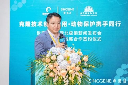 Chi 50.000 USD để 'gặp lại' thú cưng yêu quý