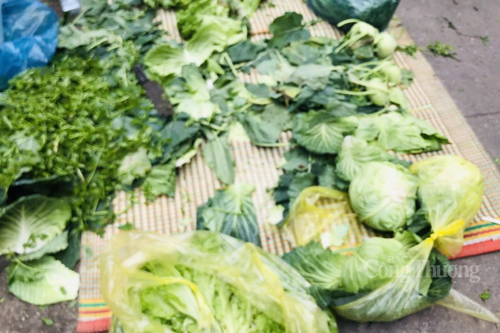 Thị trường mùng 3 Tết: Rau xanh tăng cao; các mặt hàng khác ổn định