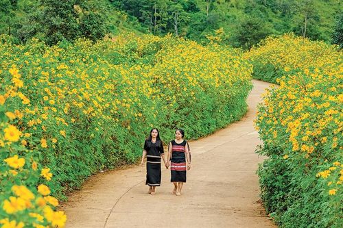 Những mùa hoa mê mải