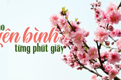 Cho yên bình từng phút giây