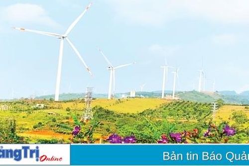 Dưới những 'cánh đồng' điện gió...