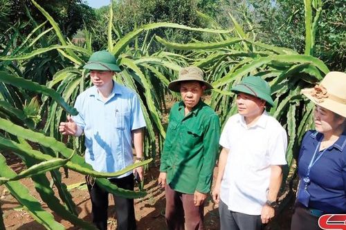 Xuân về vùng đất Thuận Châu