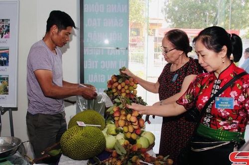 Tăng cường xúc tiến thương mại, kết nối xuất khẩu nông sản