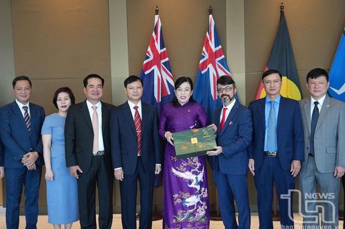 Thu hút đầu tư FDI: Chủ động đón 'đại bàng'