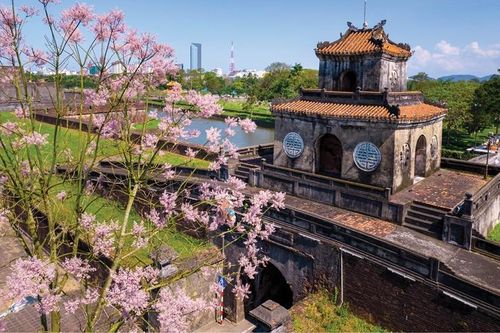 'Trong mơ ta còn muốn đợi bầy phượng hoàng trở lại'
