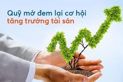 Quỹ mở cổ phiếu năm 2024: Kỳ vọng lợi nhuận tiếp tục vượt trội so với VN-Index
