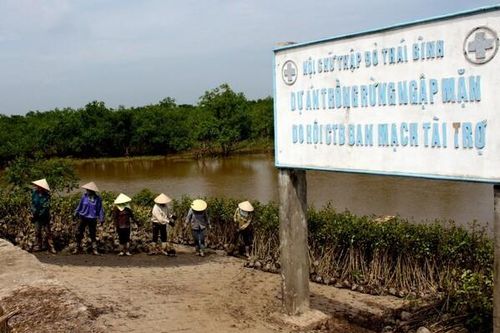 Thái Bình: Phấn đấu trồng khoảng 1,5 triệu cây xanh trong năm 2024