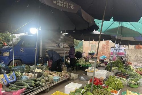 Nguồn hàng dồi dào, không xảy ra hiện tượng tăng giá đột biến