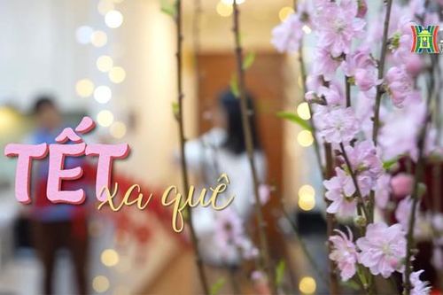 Tết xa quê