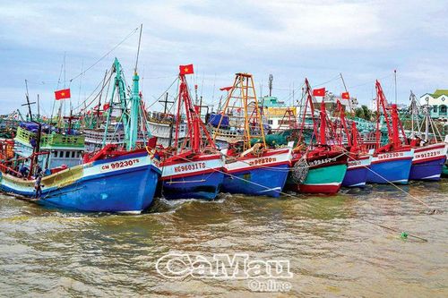 Làm giàu từ biển