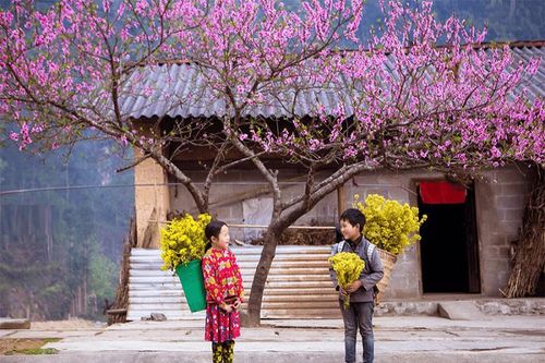 Lịch trình gợi ý cho người lần đầu đi Hà Giang