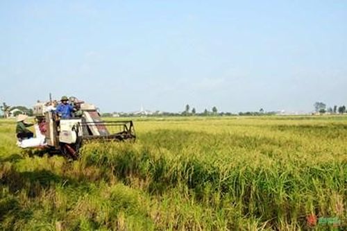 Bảo vệ sức khỏe con người, an ninh lương thực và môi trường cho Việt Nam