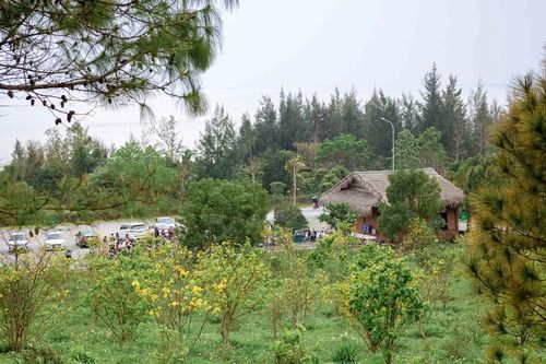 Rất đông du khách viếng mộ Đại tướng Võ Nguyên Giáp dịp tết