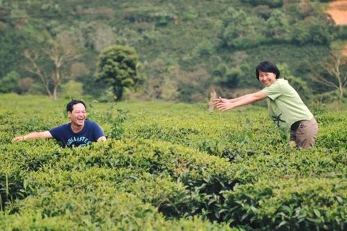 Chuyện những người trồng cây không đất