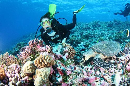 Du lịch đáy đại dương hút khách ở Kiên Giang