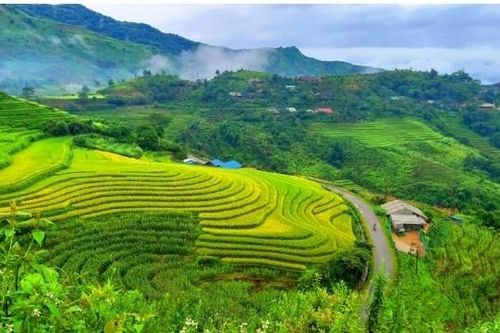 Đất nước mình đâu cũng đẹp như tranh