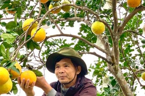 Quả ngọt trên mảnh đất cằn