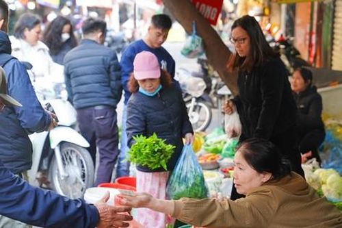 Rau xanh, thực phẩm dồi dào, không tăng giá dịp Tết