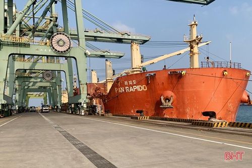 Kỳ vọng từ những chuyến hàng thông quan đầu năm Rồng