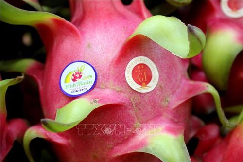 Các quy định về sở hữu trí tuệ đã phù hợp với quốc tế